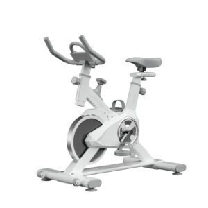 SanTu T2 professional-grade Exercise Bike